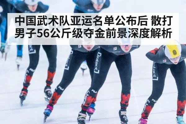 中国武术队亚运名单公布后 散打男子56公斤级夺金前景深度解析